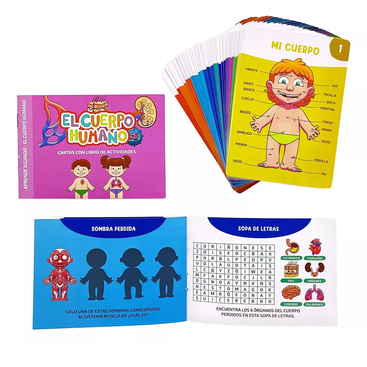 El cuerpo humano. Juego de cartas El cuerpo humano. Juego de cartas